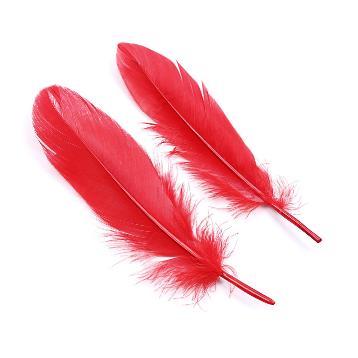 Kit Bondage Lover's Dream Vermelho | Brinca Boutique